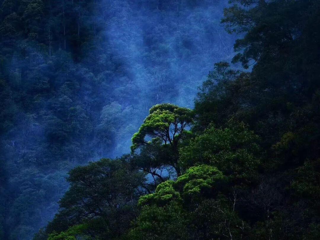 火龙冒险